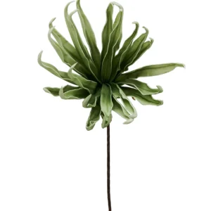 Henriette Fiori>Agave Verde H82cm: Decorazioni Casa Uniche e Regali