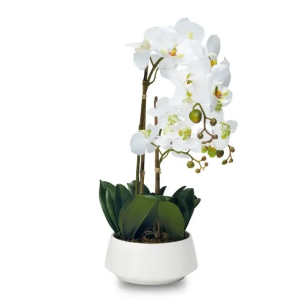 Henriette Fiori>Pianta Orchidea 3 Rami C/Vaso Cm.15x48h. Real Touch