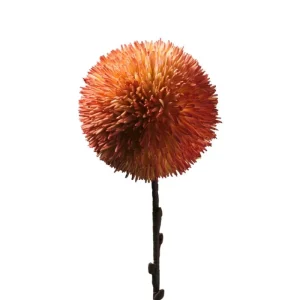 Henriette Fiori>Pom Pom Corallo ø16 H.75 Cm. Flowers