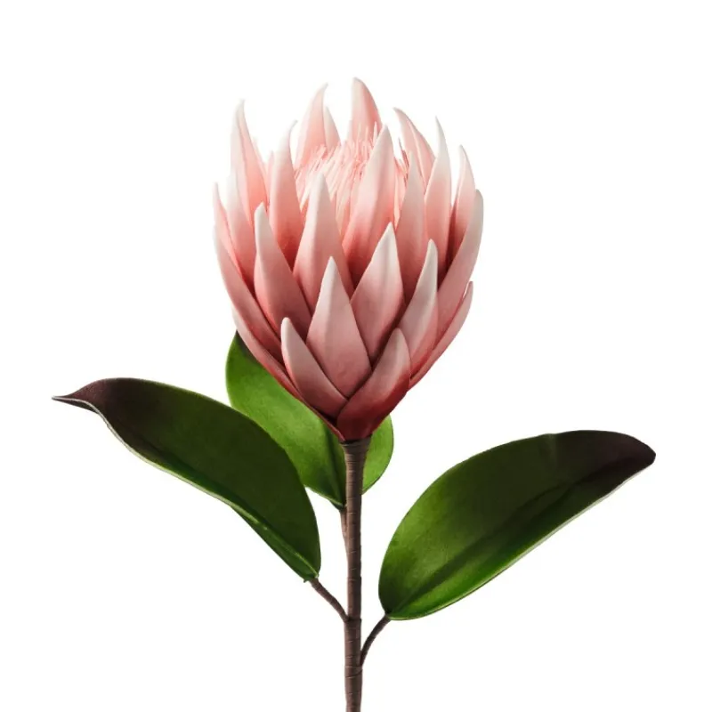 protea_rosa__h_cm_flowers_0.webp Henriette Fiori>Protea Rosa ø25 H.66 Cm. Flowers